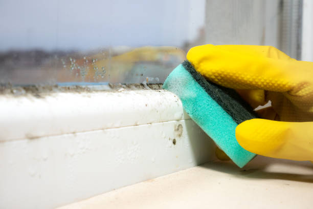 Best Residential Mold Removal  in West Berlin, NJ